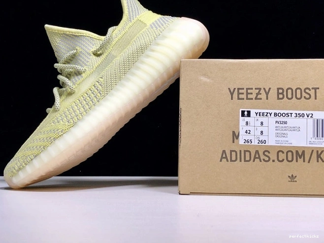 Yeezy Antlia Adidas V2 FV3250 Boost 350 0807